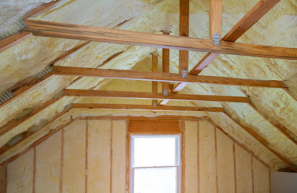 Best Blown-in Insulation in Franklin, VA