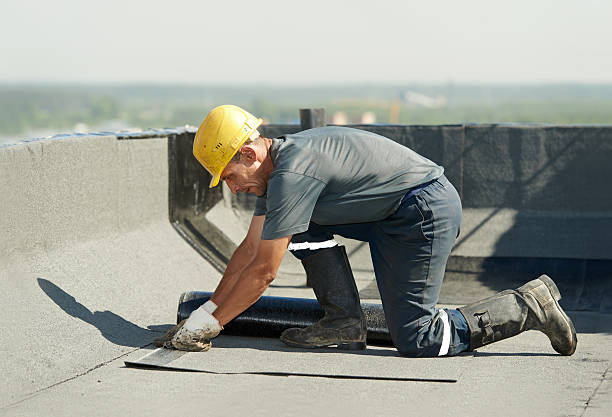 Best Insulation Maintenance and Repair in Franklin, VA