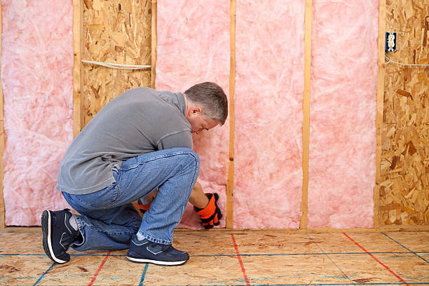 Best Specialized Insulation Services in Franklin, VA