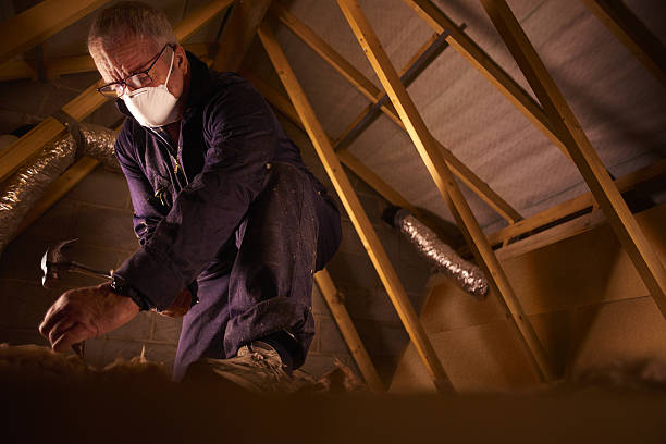 Best Cellulose Insulation in Franklin, VA